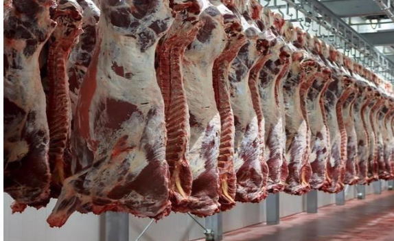 ارتفاعات متفاوتة على أسعار اللحوم بالأردن