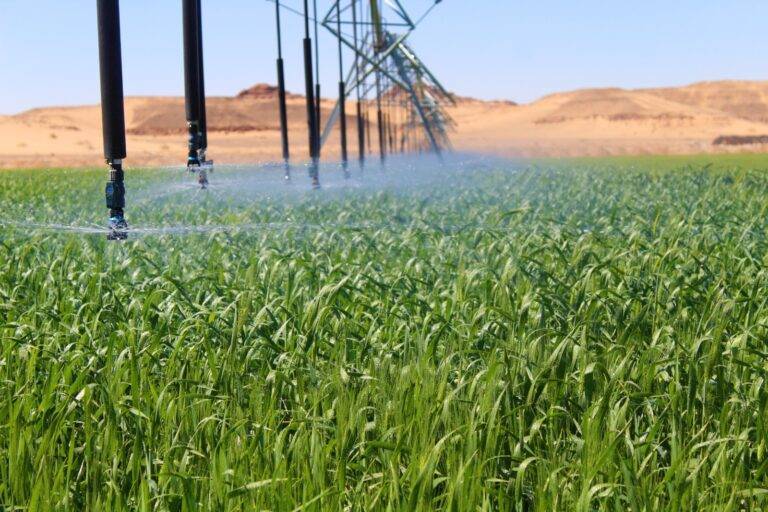 انجاز المرحلة الأولى من مشروع “الضمان” الزراعي