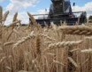 أوكرانيا : تصدير 35 مليون طن من الحبوب خلال الموسم الزراعي الحالي
