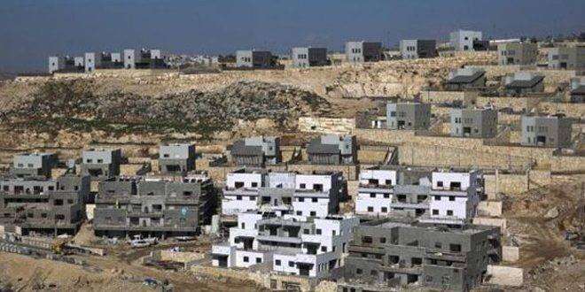 وينيسلاند يدعو إلى وقف الاستيطان غير الشرعي في الأراضي الفلسطينية