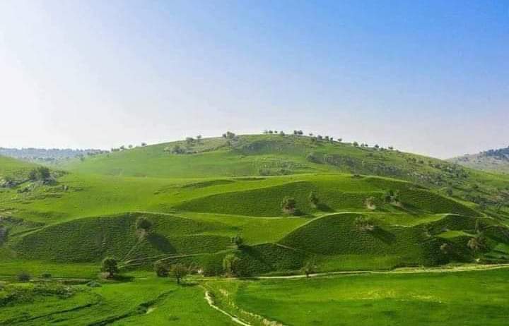 أجواء ربيعية في أغلب المناطق اليوم وعودة الأمطار السبت والأحد