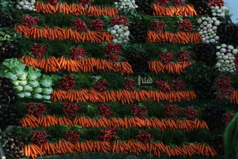 أسعار الخضار والفواكه في السوق المركزي
