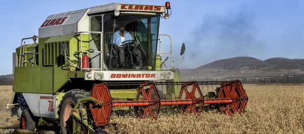 صادرات القمح الأوروبية تتحول إلى المغرب في موسم تظلله الحرب