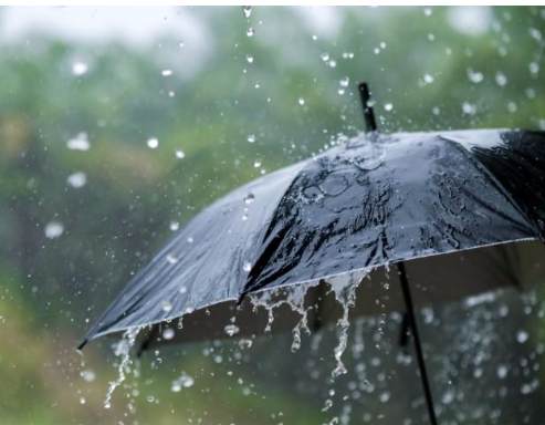 تفاصيل الحالة الجوية ودرجات الحرارة حتى الثلاثاء