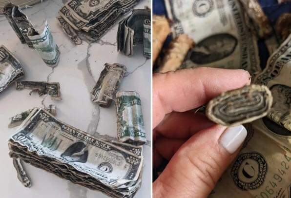 زوجان أمريكيان يعثران على كنز بقيمة 20 ألف دولار مدفوناً في فناء منزلهما