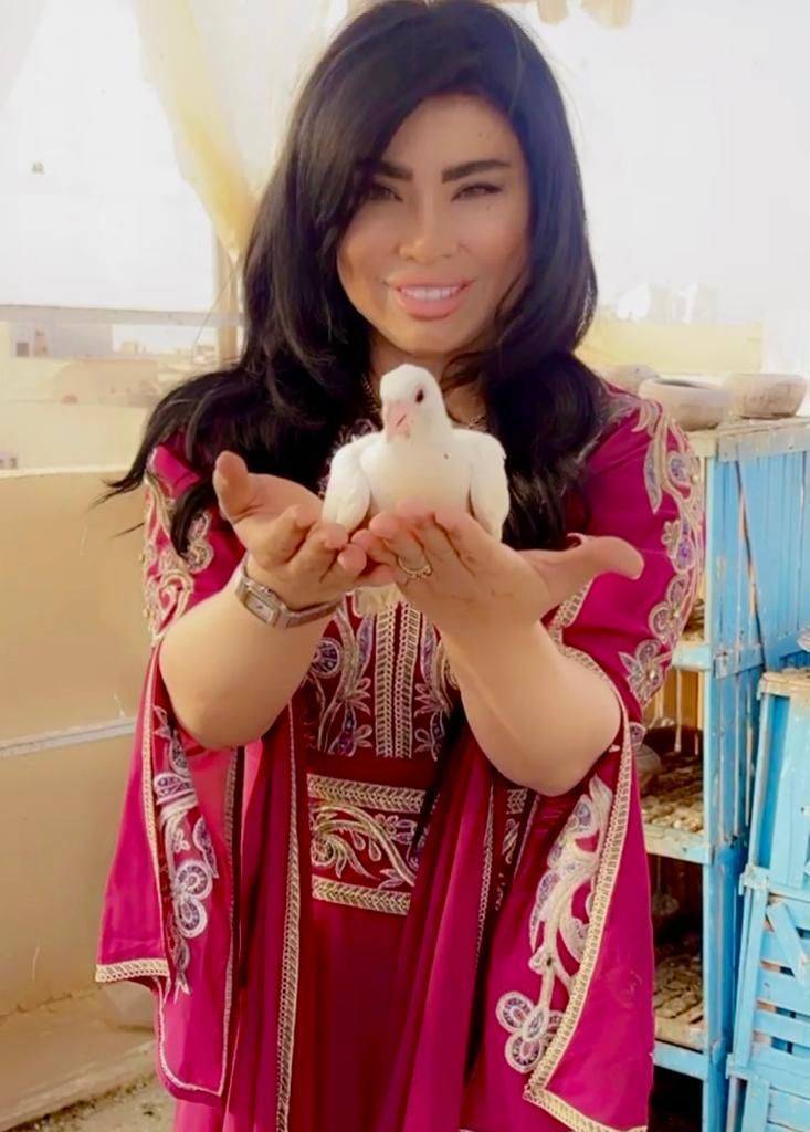 مروى حمامه رمز السلام علي  الامه الاسلاميه والعربيه  في شهر رمضان الكريم