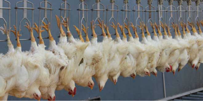 129 مخالفة منذ بداية رمضان ....تفاصيل