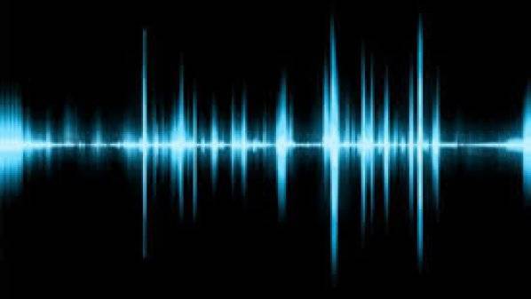 الحكم بالحبس على مسرب تسجيلات نُسبت لرئيس جامعة سابق