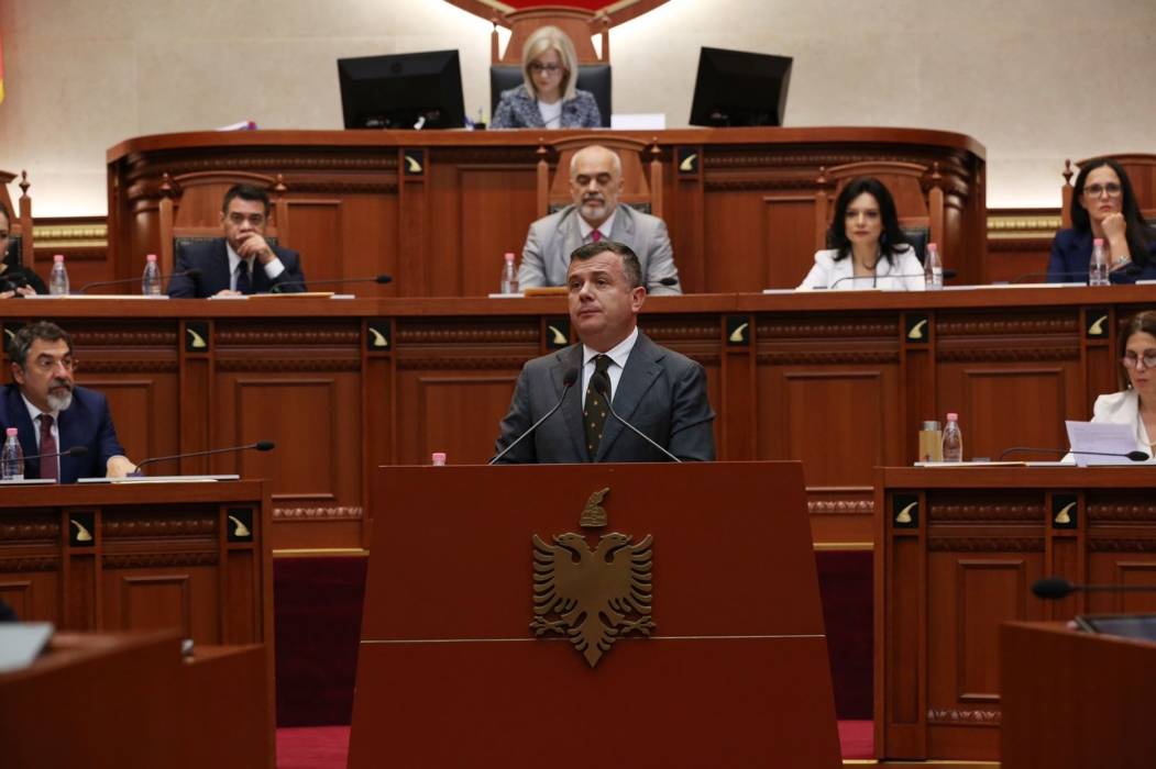 مسؤول ألباني يشيد بقرار الامارات بإعفاء مواطني ألبانيا من تأشيرة الدخول المسبقة