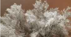 ليالي كانونية.. برد الشتاء يزور الأردن فيما تبقى من شهر آذار