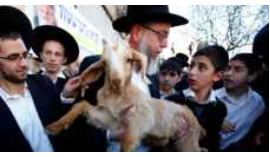 حاخامات متطرفون يطالبون بذبح القرابين في ساحات الأقصى