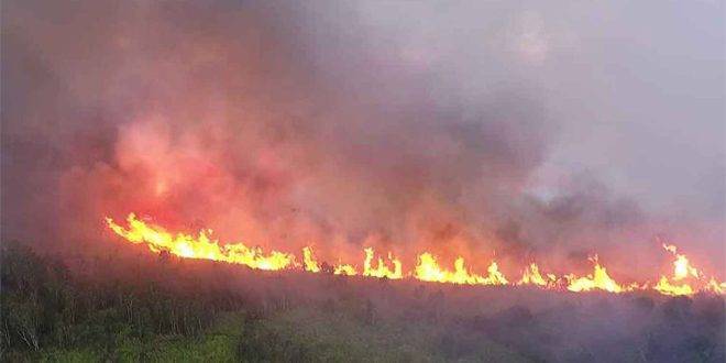 اندلاع حرائق غابات في مناطق جبلية في تايلاند