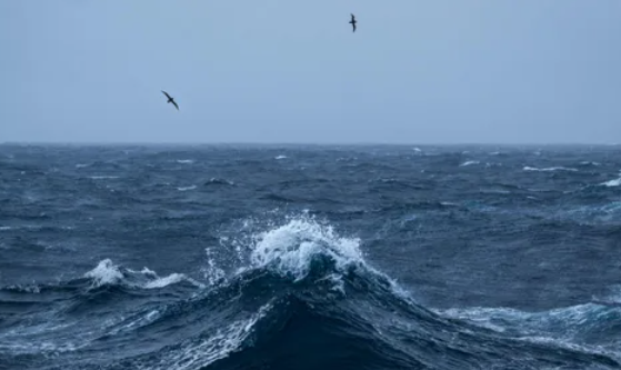 الأمم المتحدة تبدأ تلقي طلبات التعدين بقاع المحيط في يوليو