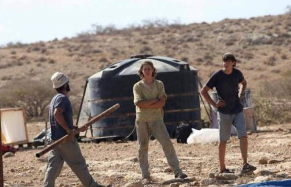 مستوطنون يدمرون غرفا زراعية واشتالا في قرية شوفة بطولكر