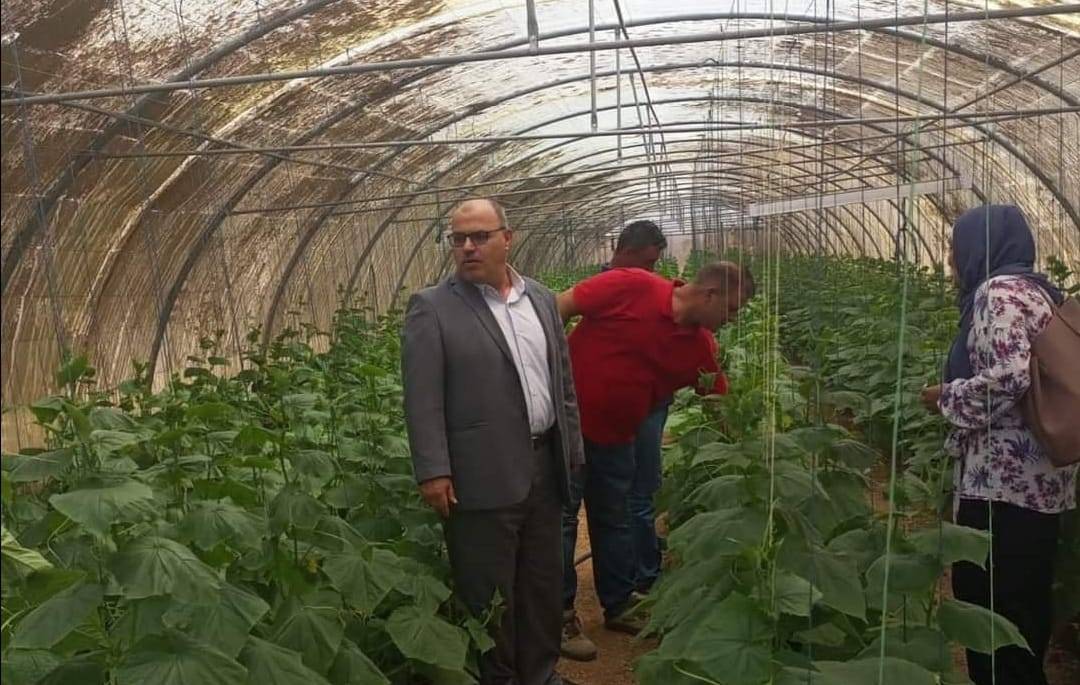 المهندس عبيدات: 16 الف بيت بلاستيكي مزروعة بمختلف أنواع الخضروات والفراولة في لواء الرمثا
