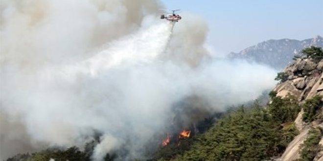 اندلاع حرائق في غابات كوريا الجنوبية