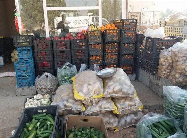 أسعار الخضار في السوق المركزي الخميس