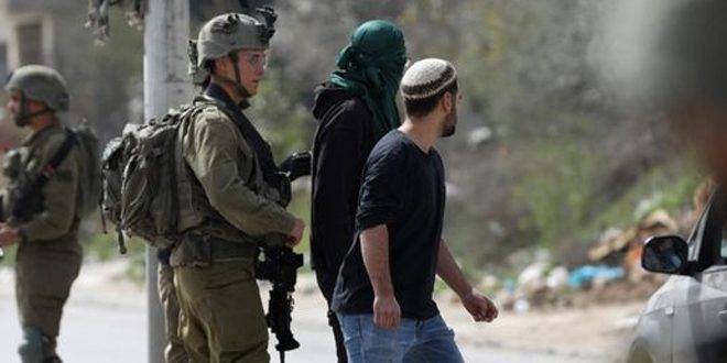 مستوطنون يعتدون على ممتلكات الفلسطينيين في عدة مناطق بالضفة الغربية