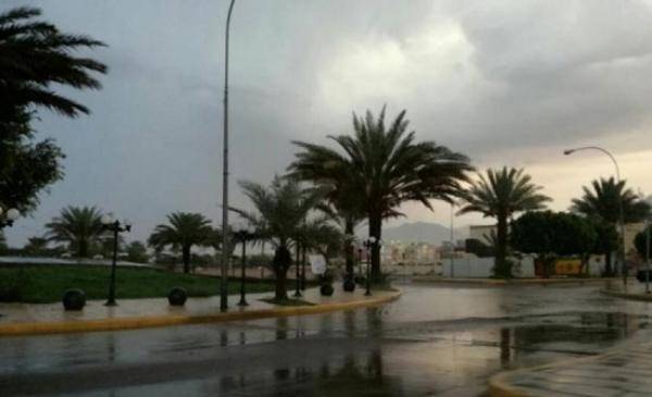 تعليق دوام الفترة المسائية لمدارس العقبة الإثنين