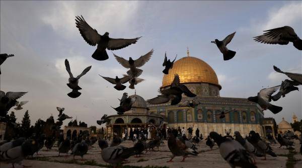البناء الوطني تحت التأسيس: نقف خلف الشعب الفلسطيني الصامد
