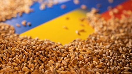 روسيا تلوح بعدم تمديد صفقة الحبوب