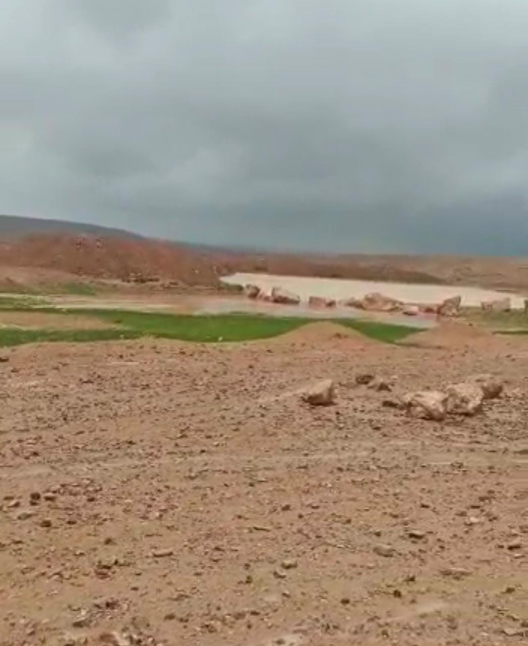 مربو ماشية في الغباوي يثمنون جهود وزارة الزراعة في تنفيذ مشاريع الحصاد المائي