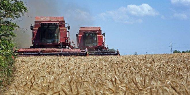 بولندا تحظر استيراد الحبوب الأوكرانية لحماية مزارعيها