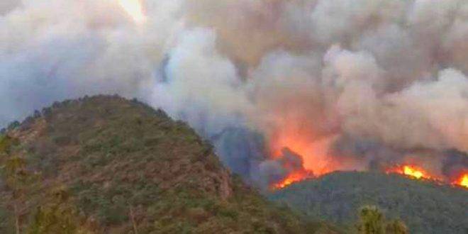 إجلاء نحو 2000 شخص جراء اندلاع الحرائق جنوب غرب الصين