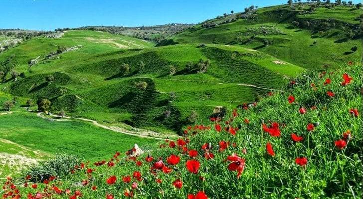 الأرصاد: أجواء ربيعية معتدلة الحرارة خلال فترة العيد