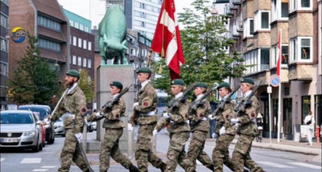 الدنمارك تسحب جميع العسكريين لها من العراق وسورية