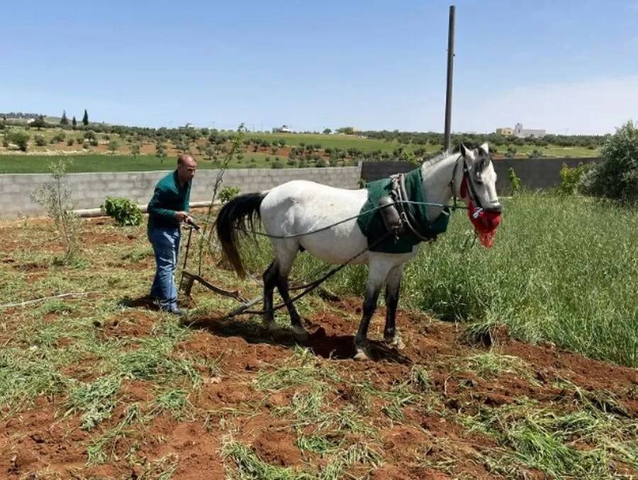 عبدالرؤوف الروابدة يعلق على صورة الصحفي العبادي: حراث مبدع