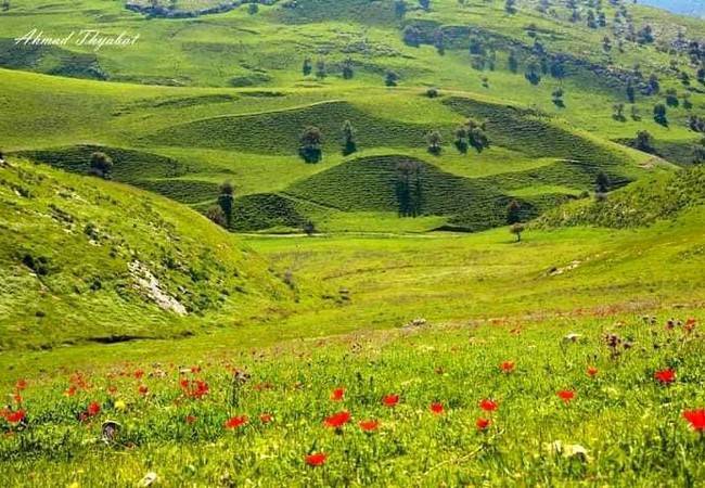 أجواء ربيعية معتدلة الحرارة في أغلب مناطق المملكة