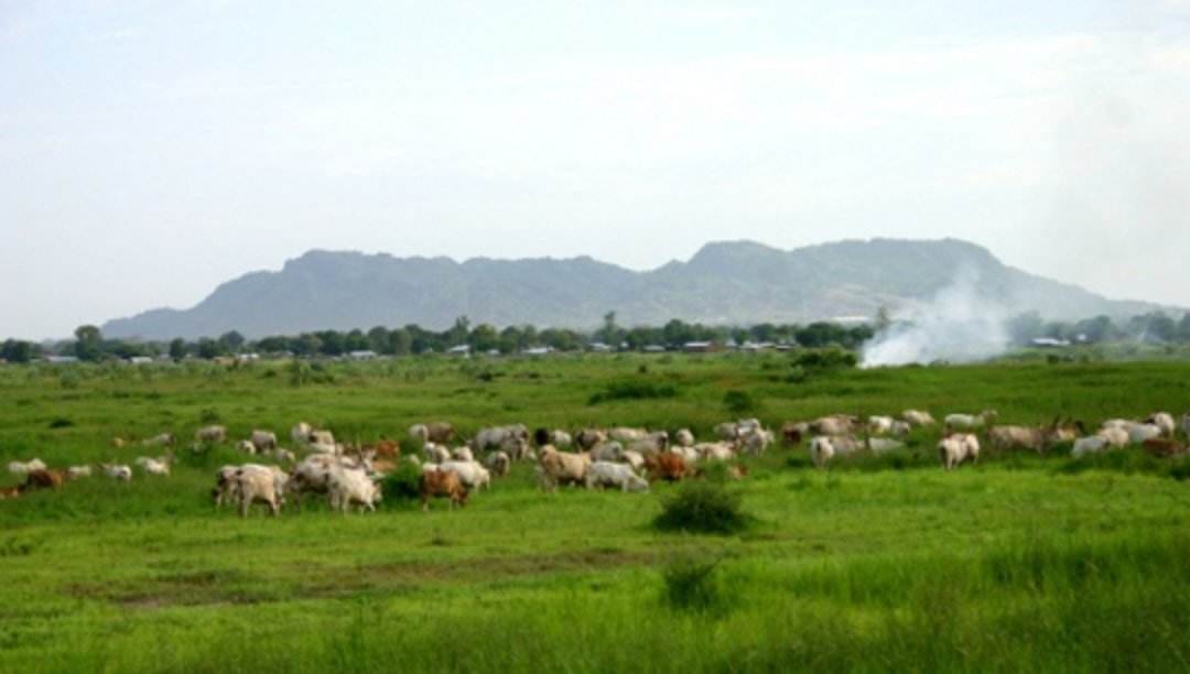 السودان من اغنى دول العالم ..تفاصيل