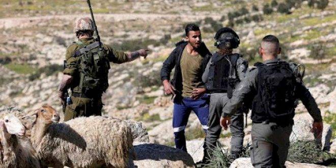 مستوطنون يعتدون على فلسطينيين وممتلكاتهم في الأغوار الشمالية