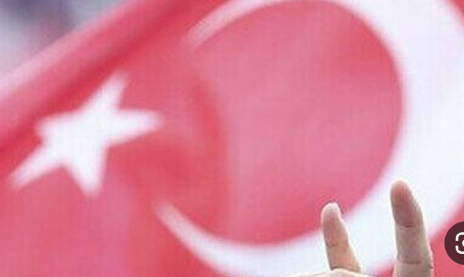 الأتراك في الخارج يدلون بأصواتهم بالانتخابات الرئاسية والبرلمانية