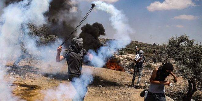 إصابة عشرات الفلسطينيين جراء اعتداء لقوات الاحتلال بقرية عين البيضا في الأغوار الشمالية