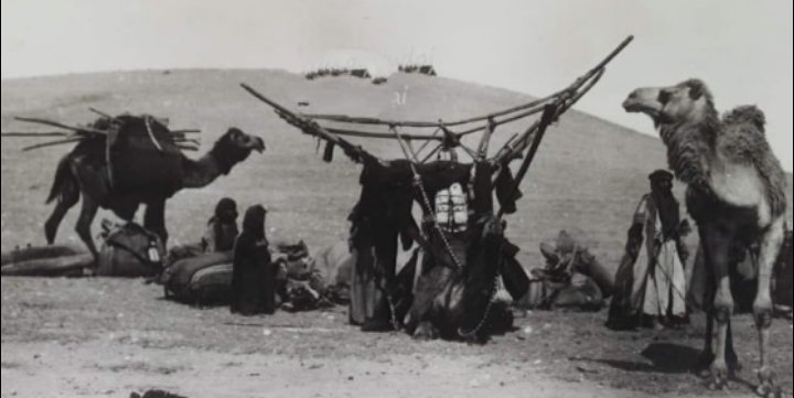 «العطفة» عند البدو.. أخت الرجال ومحور القتال في الحروب