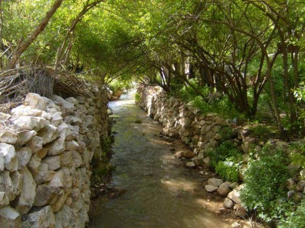 حملة تنظيف لمجرى ينابيع وادي الريان السياحي