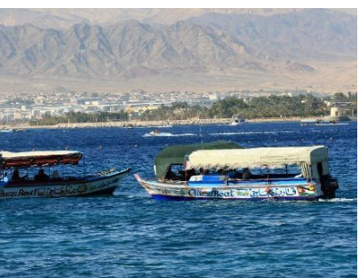 14 نسبة الزيادة في السفن الراسية بالعقبة