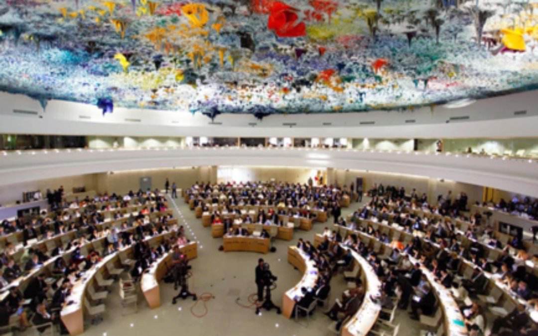 لجنة حقوق الفلسطينيين بالأمم المتحدة تنتخب مُقررها