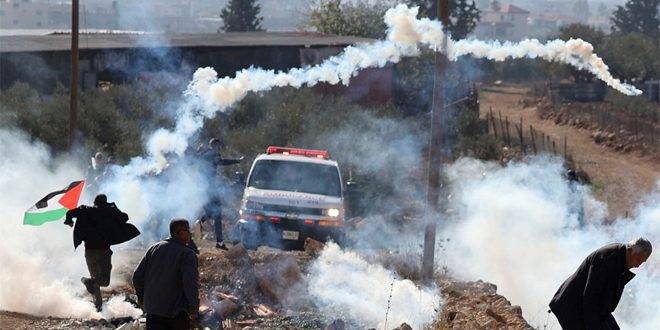 إصابة فلسطينيين جراء قمع الاحتلال مظاهرة قرية بيت دجن الأسبوعية