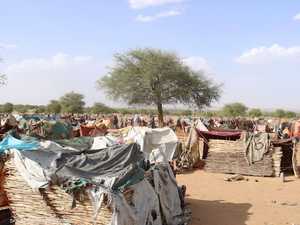 تحت خيم من أغصان الشجر.. سودانيون يعانون في تشاد