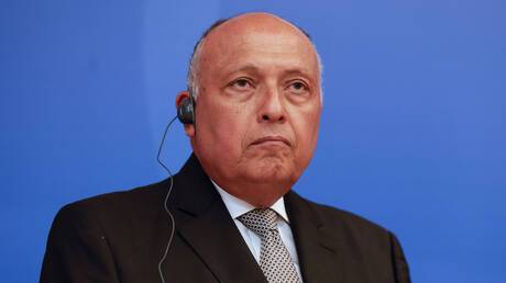 وزير الخارجية المصري يوضح تصريحا أثار لغطا بشأن سد النهضة