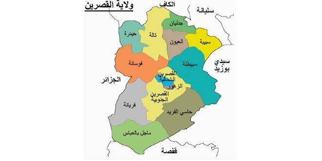 العثور على جثث 9 مهاجرين غير شرعيين في الغابات غرب تونس