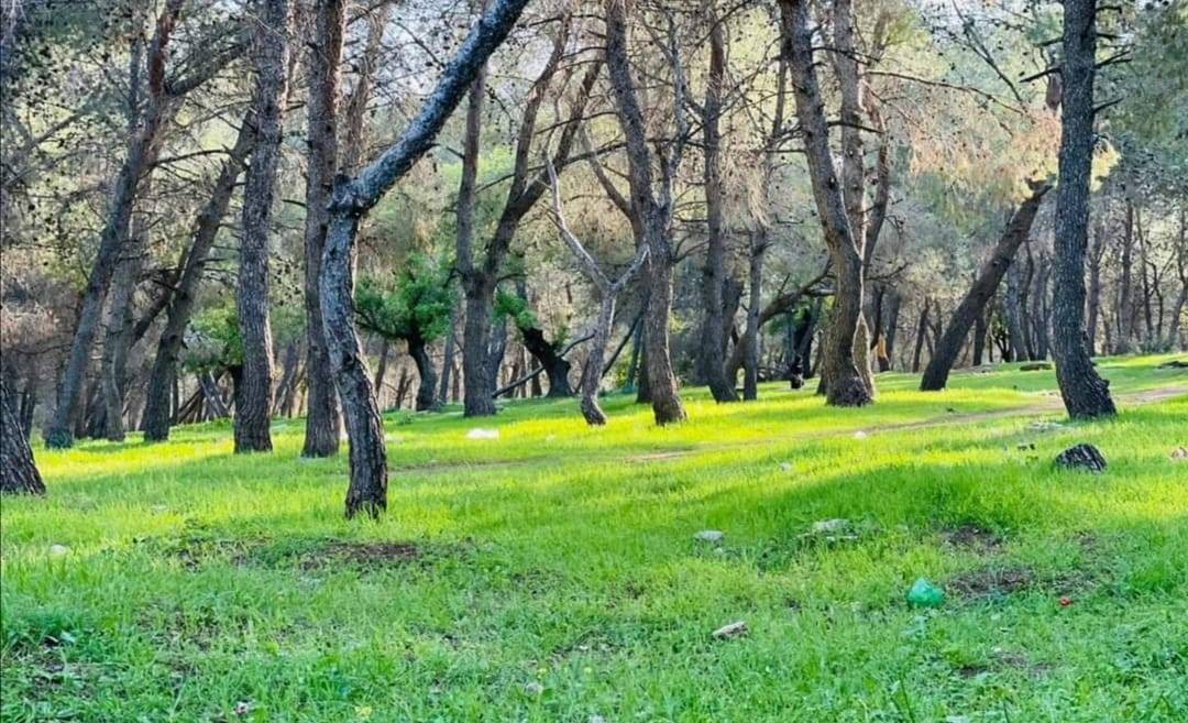 دعوة للمواطنين للمشاركة في الحملة الوطنية للنظافة العامة غدا الثلاثاء بغابات الشعلة