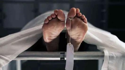 العثور على جثة بمنطقة حرجية في عمان