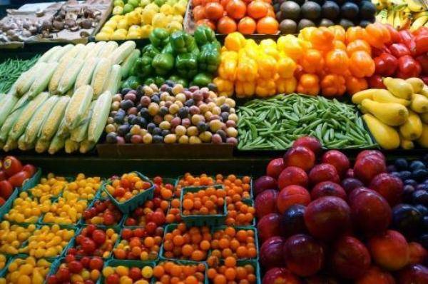مصدرو المنتوجات الزراعية: يجب أن يكون المنتج المحلي قوي دون حماية