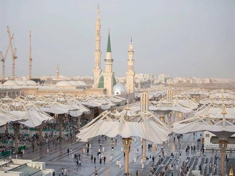 وصول أكثر من نصف مليون حاج إلى المدينة المنورة