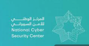 الأمن السيبراني: خطة وطنية لحماية الأنظمة المعلوماتية للقطاعين العام والخاص