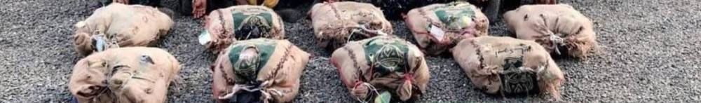 السعودية ..حرس الحدود يقبض على 7 مخالفين لنظام الحدود لتهريبهم نبات القات